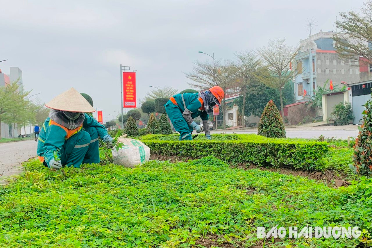 Chí Linh chung tay cho thành phố thêm xanh
